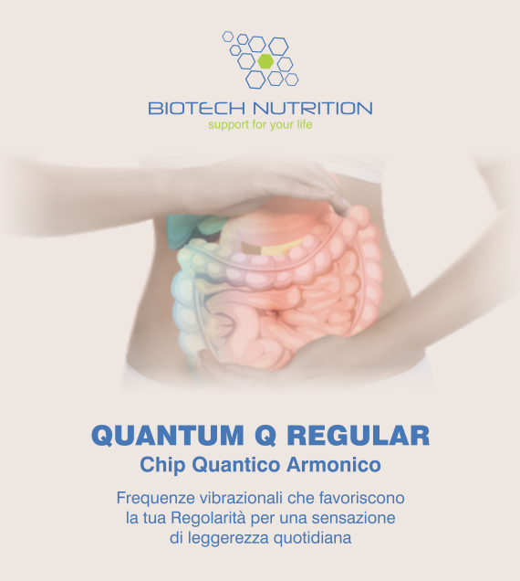 QUANTUM Q REGULAR